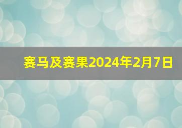 赛马及赛果2024年2月7日