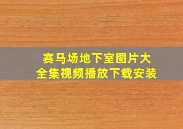 赛马场地下室图片大全集视频播放下载安装