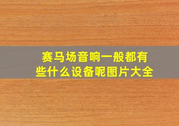 赛马场音响一般都有些什么设备呢图片大全