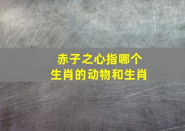 赤子之心指哪个生肖的动物和生肖