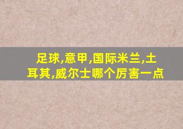 足球,意甲,国际米兰,土耳其,威尔士哪个厉害一点