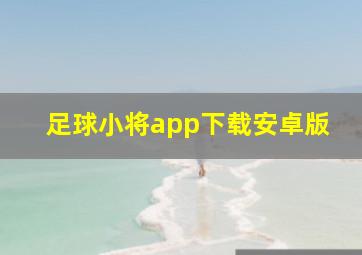 足球小将app下载安卓版