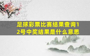 足球彩票比赛结果查询12号中奖结果是什么意思