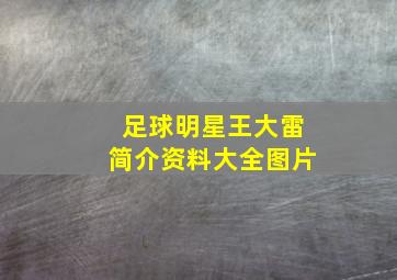 足球明星王大雷简介资料大全图片