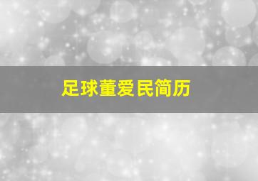 足球董爱民简历