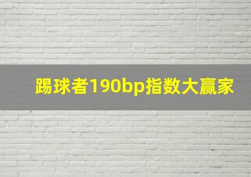 踢球者190bp指数大赢家