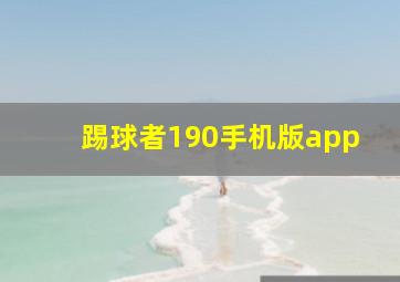 踢球者190手机版app