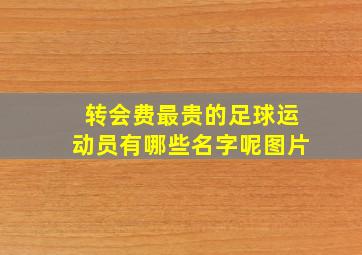 转会费最贵的足球运动员有哪些名字呢图片