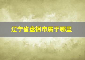 辽宁省盘锦市属于哪里