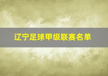 辽宁足球甲级联赛名单