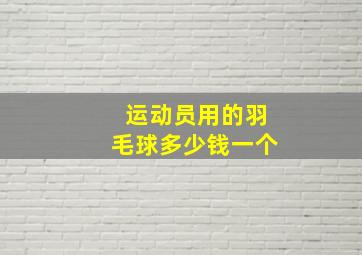 运动员用的羽毛球多少钱一个