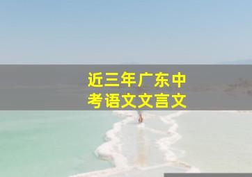 近三年广东中考语文文言文