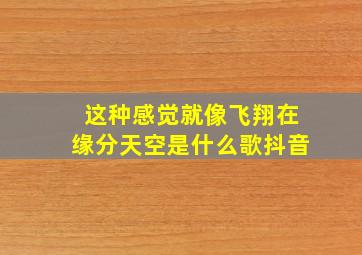 这种感觉就像飞翔在缘分天空是什么歌抖音