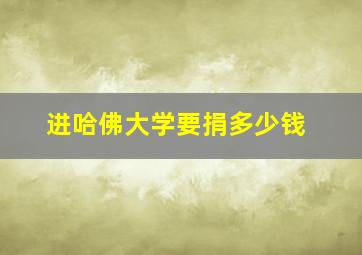 进哈佛大学要捐多少钱