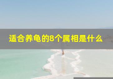 适合养龟的8个属相是什么