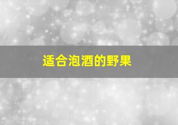 适合泡酒的野果