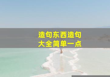 造句东西造句大全简单一点