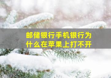 邮储银行手机银行为什么在苹果上打不开