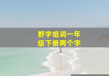 野字组词一年级下册两个字