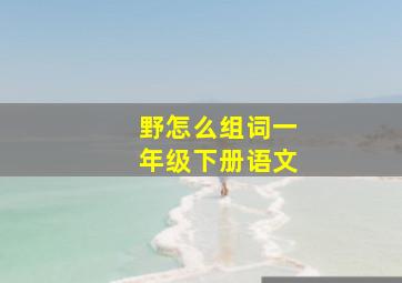 野怎么组词一年级下册语文