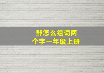 野怎么组词两个字一年级上册