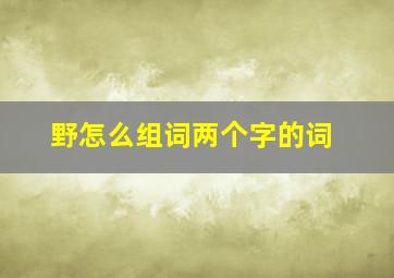 野怎么组词两个字的词