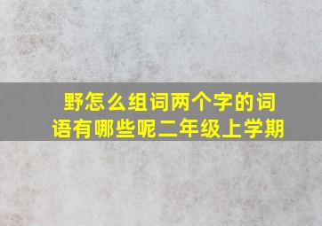 野怎么组词两个字的词语有哪些呢二年级上学期