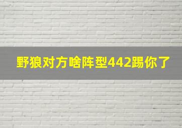 野狼对方啥阵型442踢你了