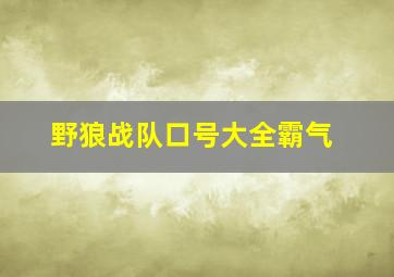 野狼战队口号大全霸气