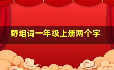 野组词一年级上册两个字