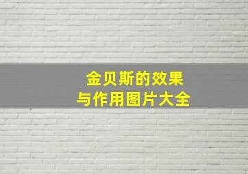 金贝斯的效果与作用图片大全