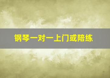 钢琴一对一上门或陪练