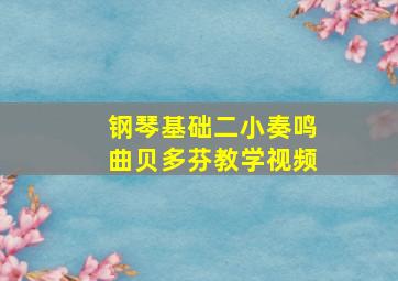 钢琴基础二小奏鸣曲贝多芬教学视频