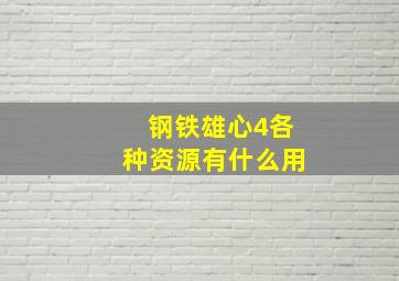 钢铁雄心4各种资源有什么用