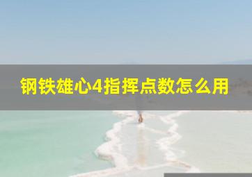 钢铁雄心4指挥点数怎么用