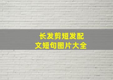 长发剪短发配文短句图片大全