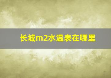 长城m2水温表在哪里