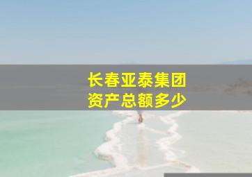 长春亚泰集团资产总额多少