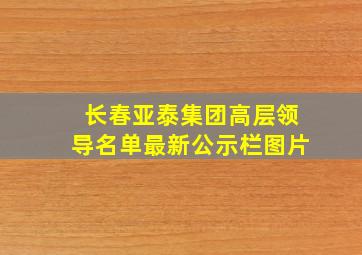 长春亚泰集团高层领导名单最新公示栏图片