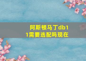 阿斯顿马丁db11需要选配吗现在