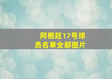 阿根廷17号球员名单全部图片