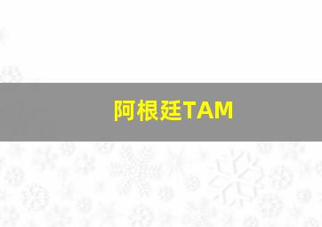 阿根廷TAM