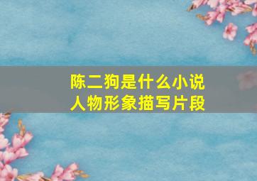 陈二狗是什么小说人物形象描写片段