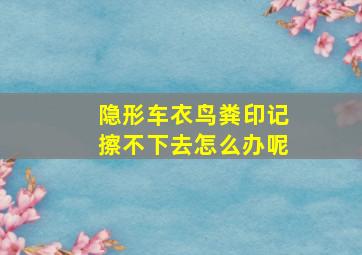 隐形车衣鸟粪印记擦不下去怎么办呢