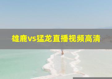 雄鹿vs猛龙直播视频高清