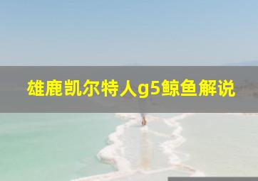 雄鹿凯尔特人g5鲸鱼解说