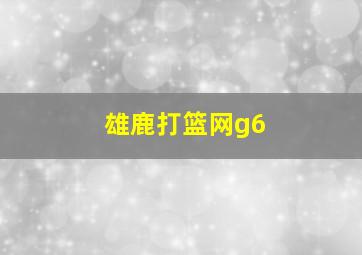 雄鹿打篮网g6