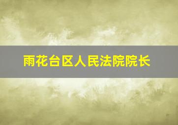 雨花台区人民法院院长