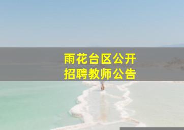 雨花台区公开招聘教师公告