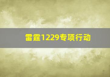 雷霆1229专项行动